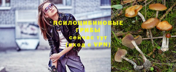 прущая мука Бронницы
