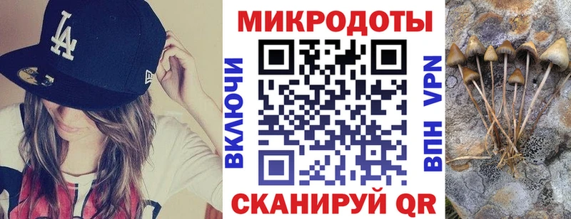 закладка  Динская  Псилоцибиновые грибы ЛСД 