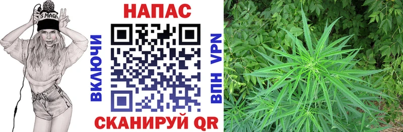 Бошки марихуана марихуана  наркошоп  Динская 